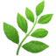 🌿